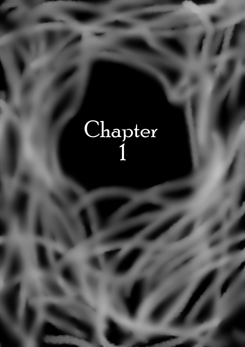 Cache Book 1 Chapter 1